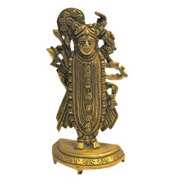 Srinatha Brass Idol