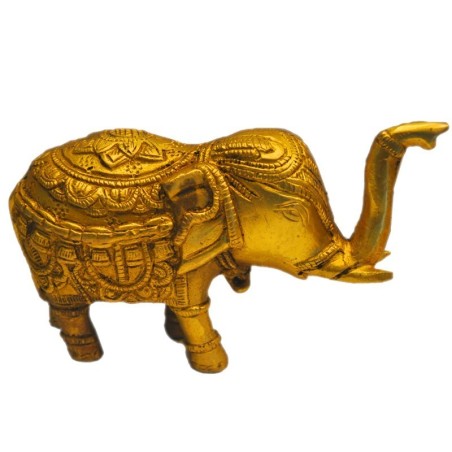 Elephant Lifting Trunk