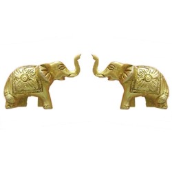 2 Elephants