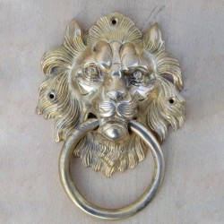 Unusal lion faced towel hanger