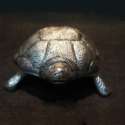 Bring home Aluminium Tortoise for good fortune