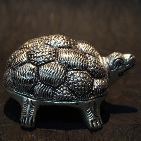 Aluminium Designed Tortoise